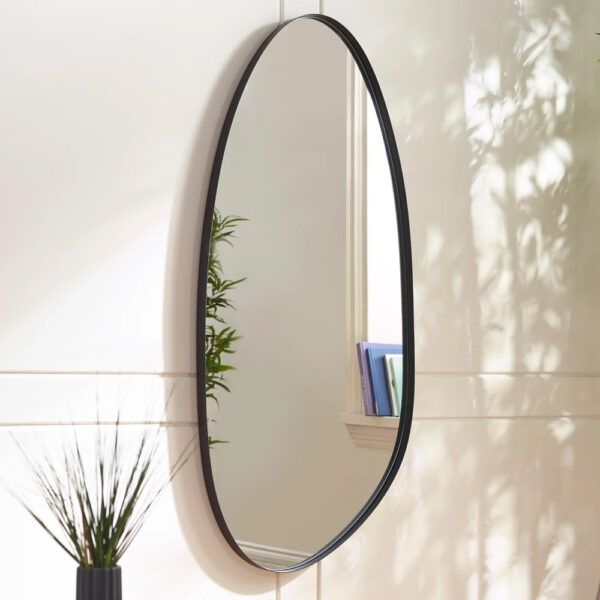 Padilla Organic Shaped Mirror With Black Wooden Frame